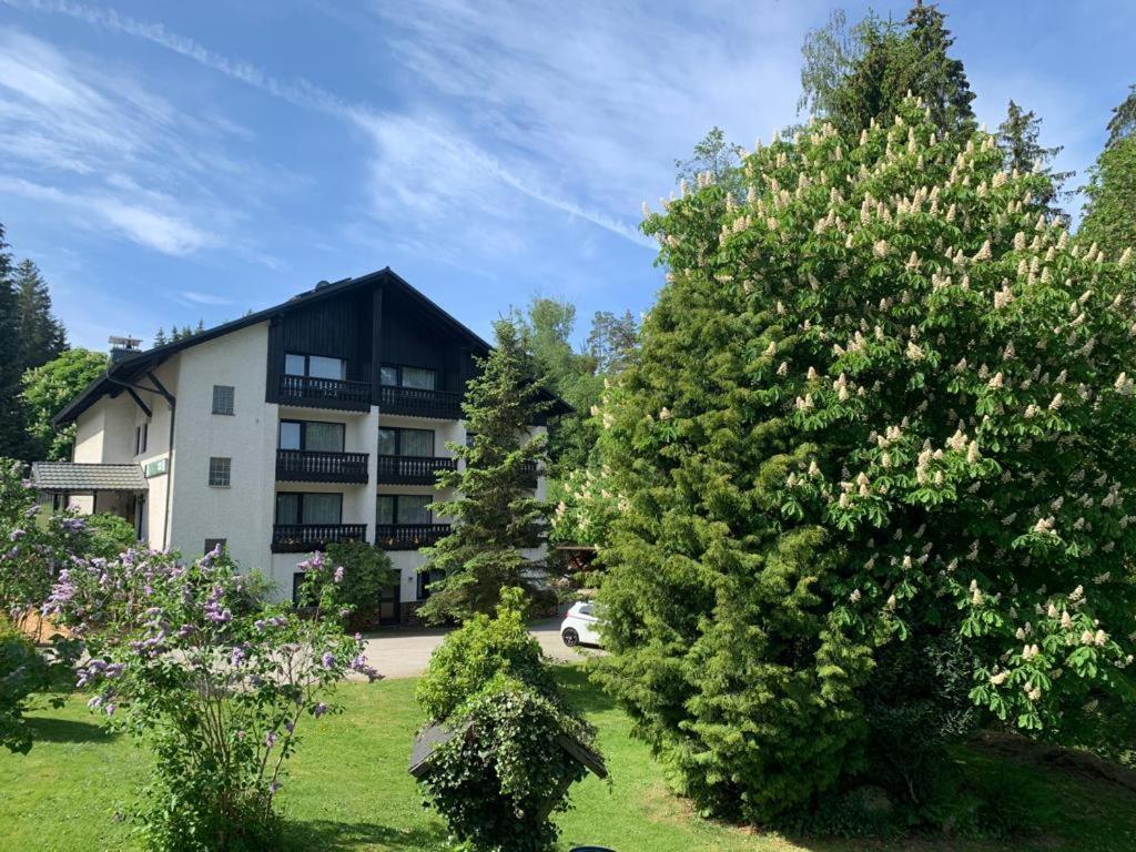 Landhaus Am Forst Bad Alexandersbad Bagian luar foto