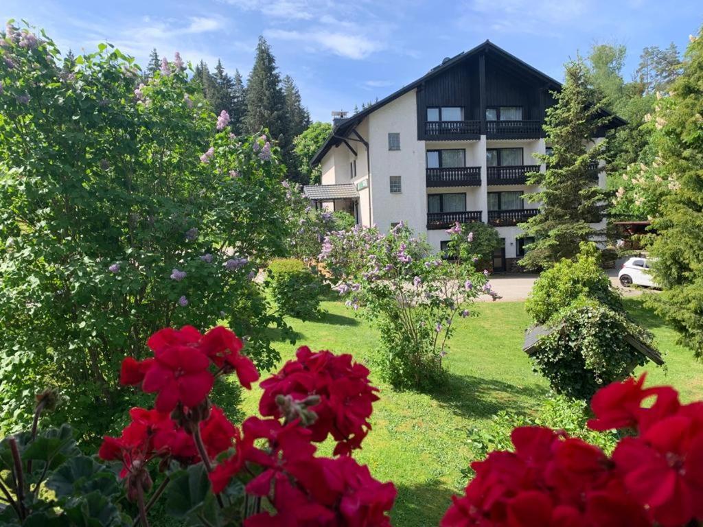 Landhaus Am Forst Bad Alexandersbad Bagian luar foto