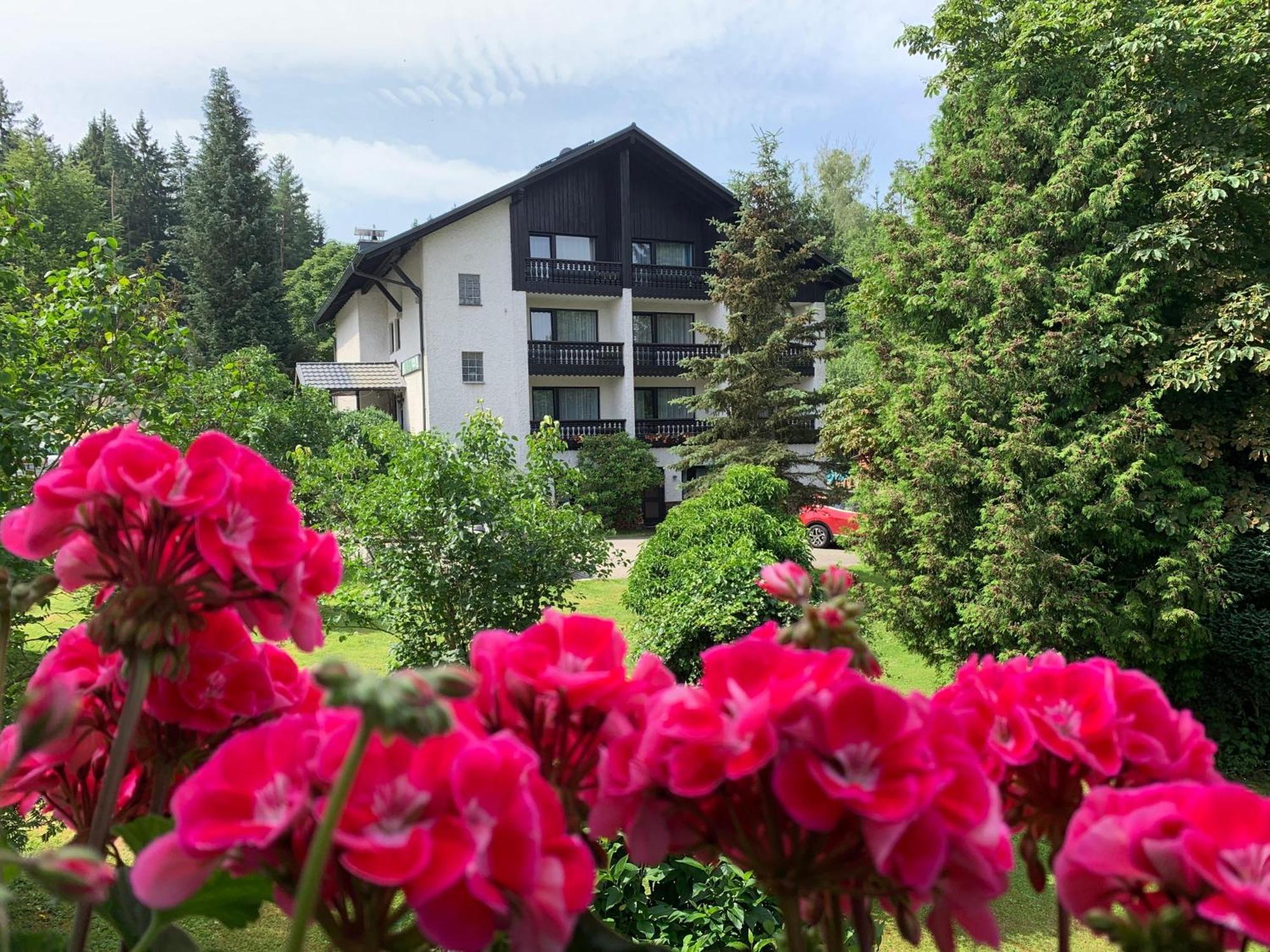 Landhaus Am Forst Bad Alexandersbad Bagian luar foto