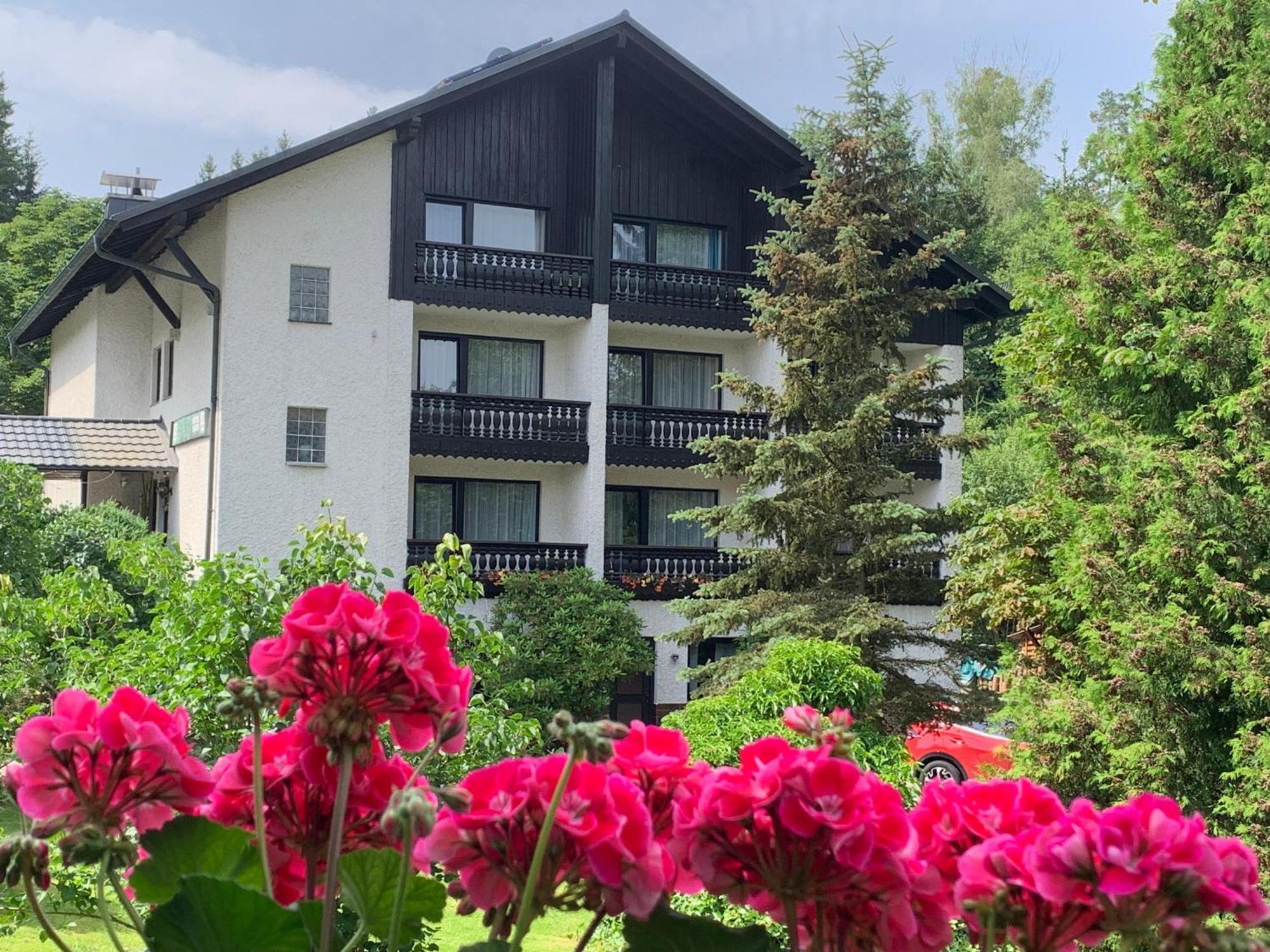 Landhaus Am Forst Bad Alexandersbad Bagian luar foto