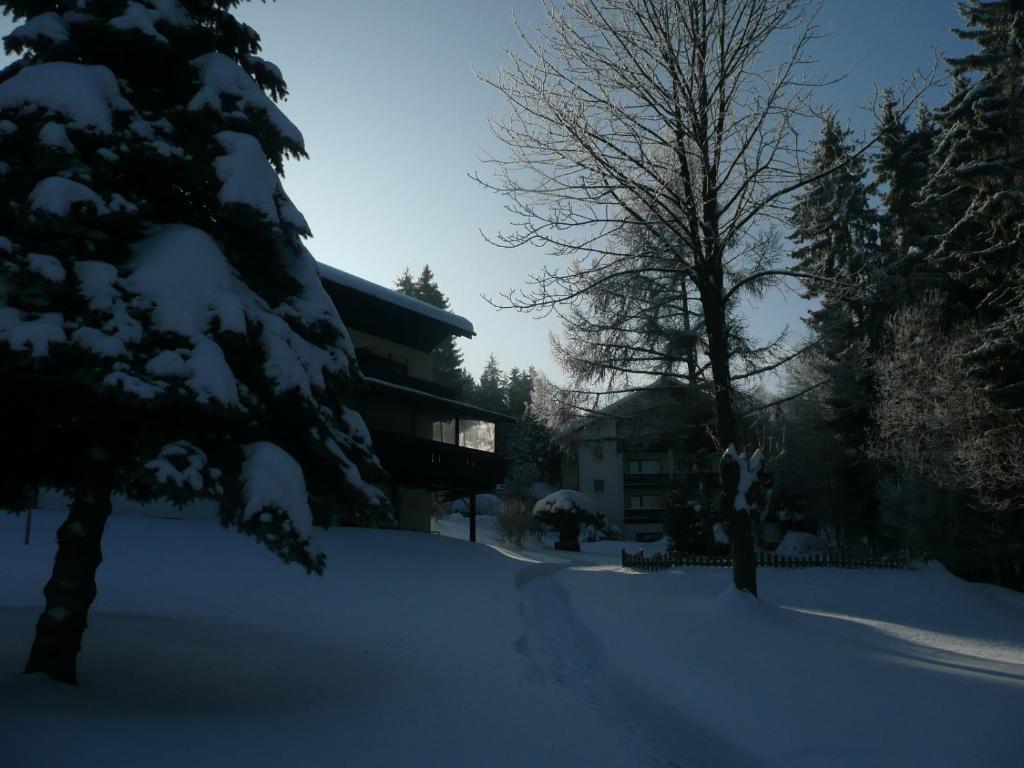 Landhaus Am Forst Bad Alexandersbad Bagian luar foto